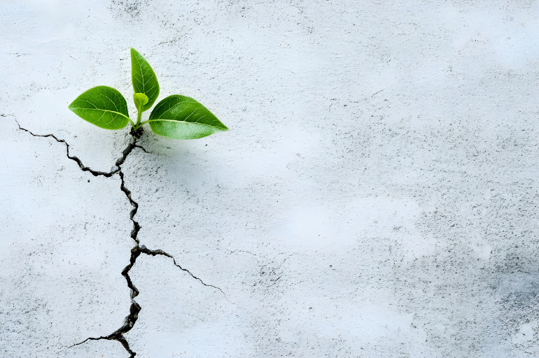 Interview met De Tijd over Weerbaarheid